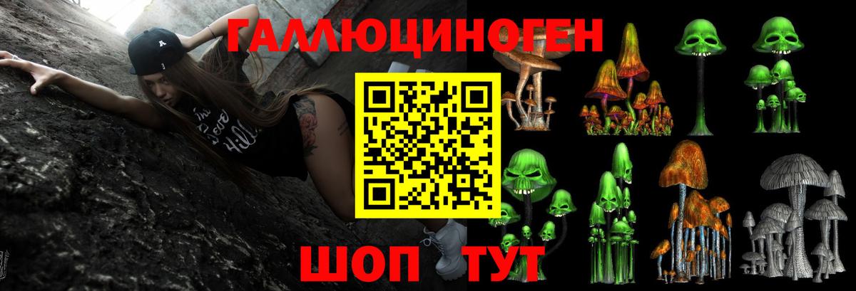 Щёлково  даркнет сайт  Вход с VPN  Псилоцибиновые грибы прущие грибы 