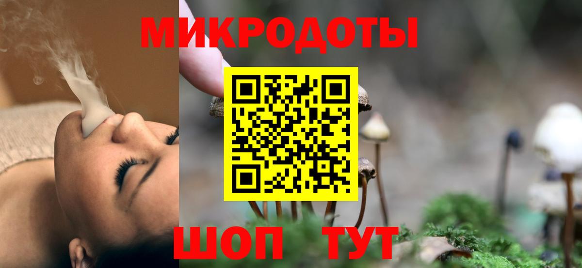 Галлюциногенные грибы Cubensis Щёлково